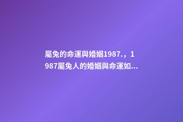 屬兔的命運與婚姻1987.，1987屬兔人的婚姻與命運如何 87年屬兔35歲2022婚姻-第1張-觀點-玄機派